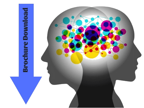 30th International Conference on  Public Mental Health and Neuroscience